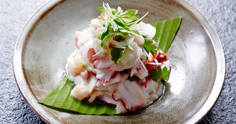 Ceviche of Scallops, Octopus & Snapper