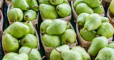 Autumn Seasonal Produce Update