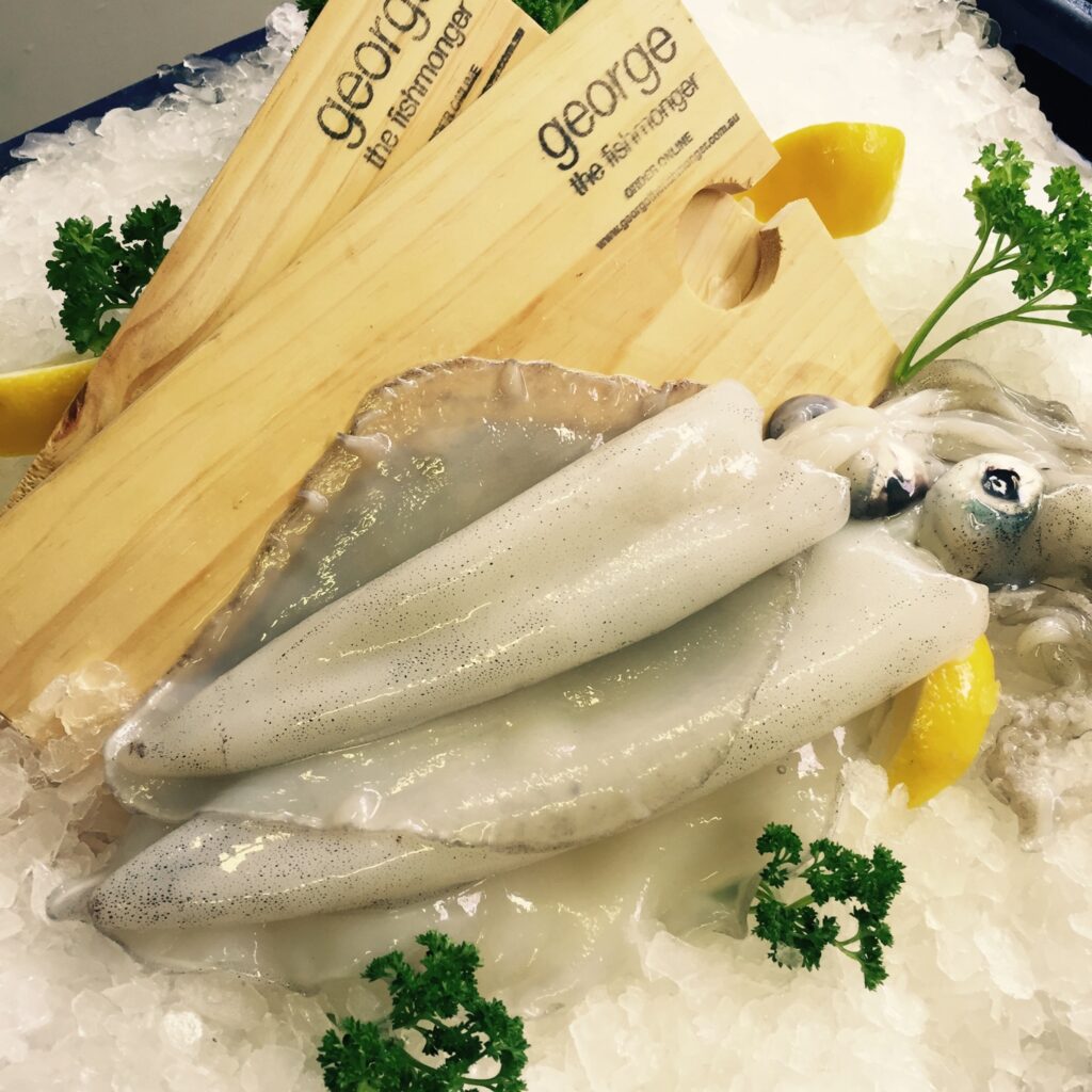 Local Southern Calamari - Queen Victoria Market