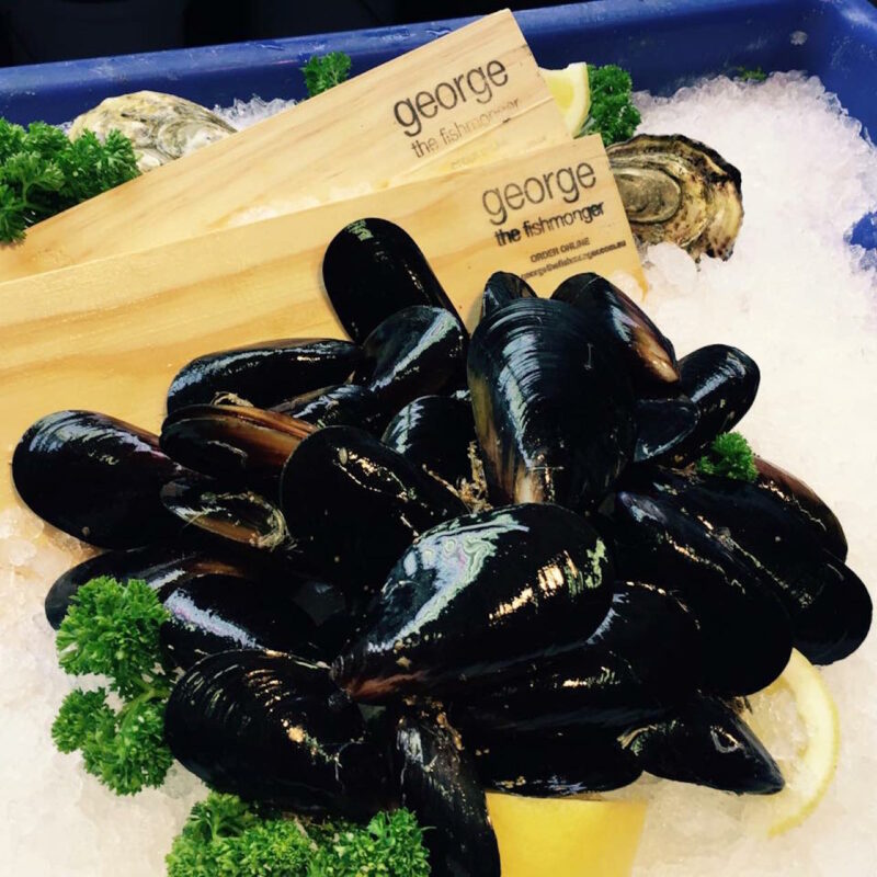 Live Mussels Queen Victoria Market