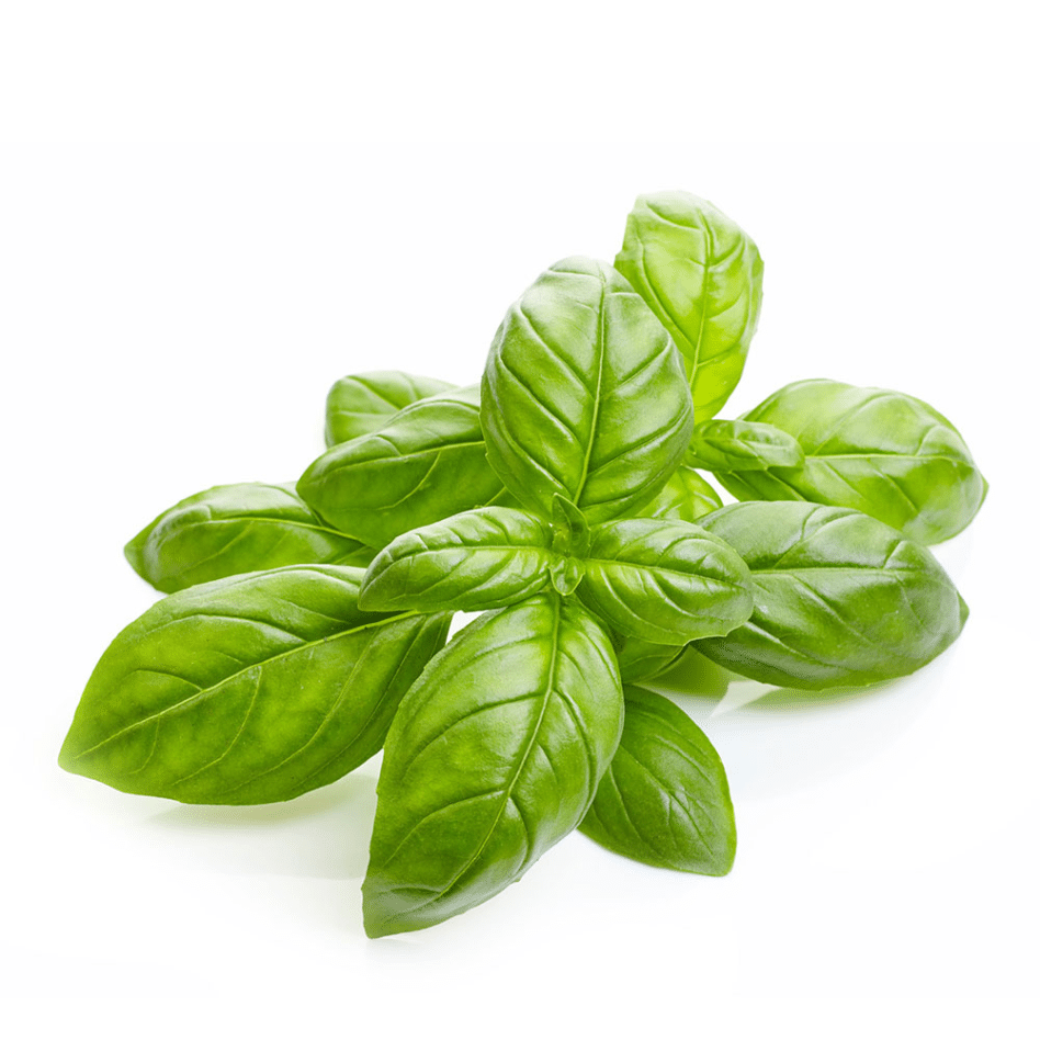 Basil - Queen Victoria Market