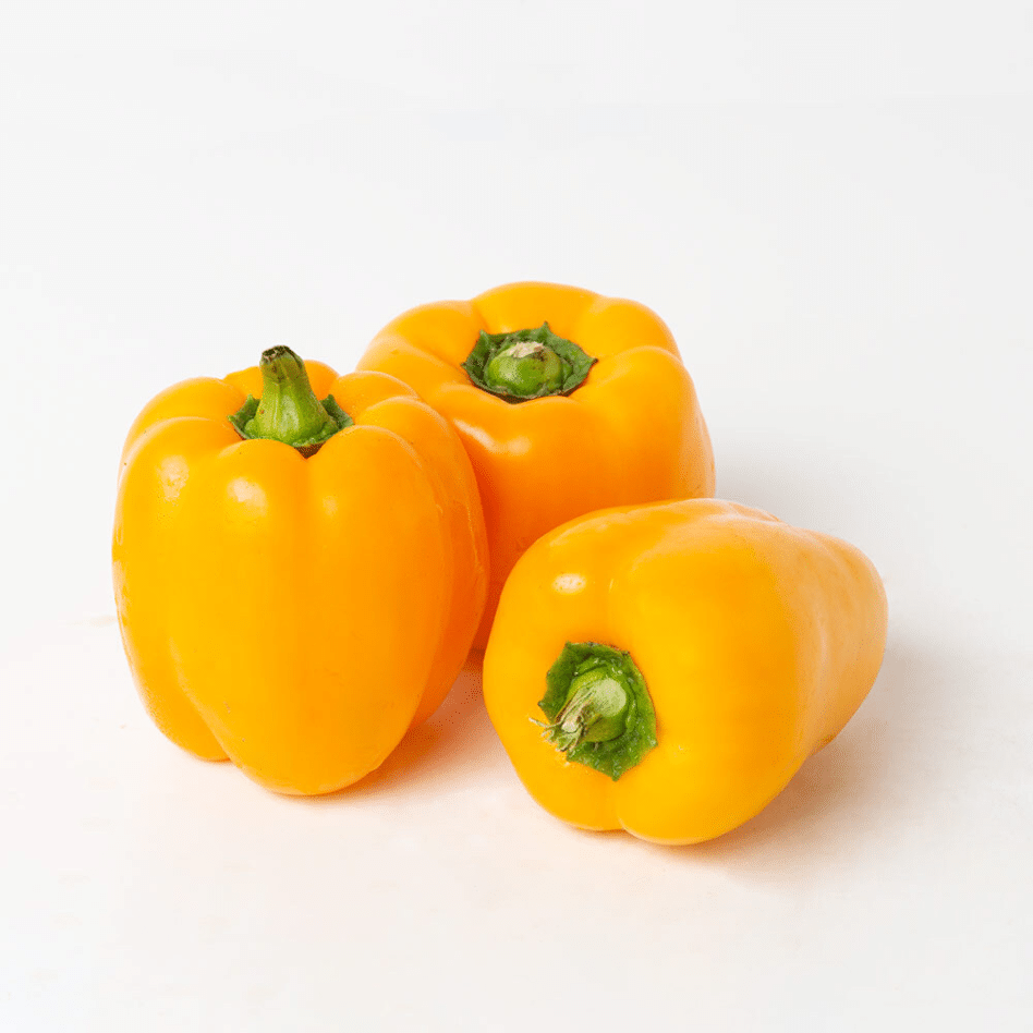 Capsicum Yellow