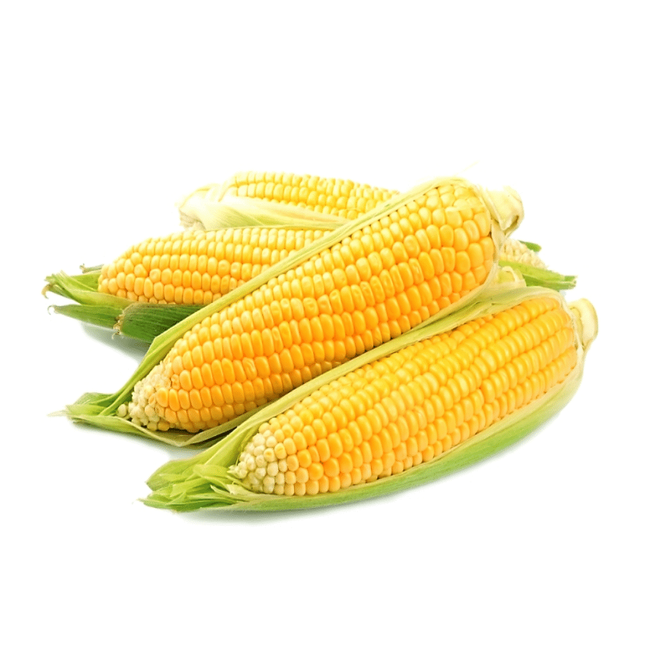 Sweet Corn