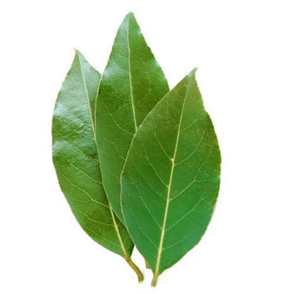 Bay Leaves Fresh