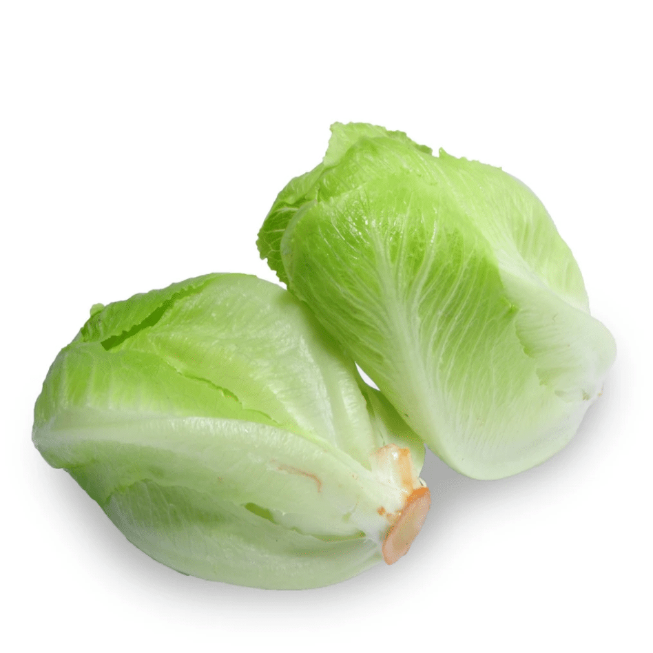 Lettuce - Baby Cos twin