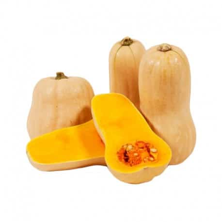 Pumpkin - Butternut