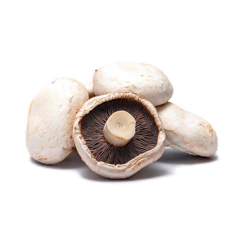 Mushroom - Flat