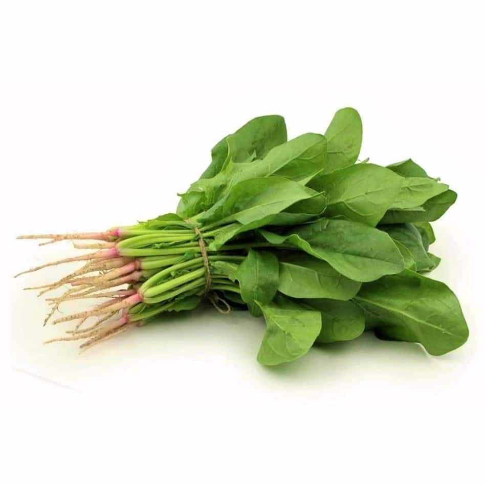 Spinach - English bunch