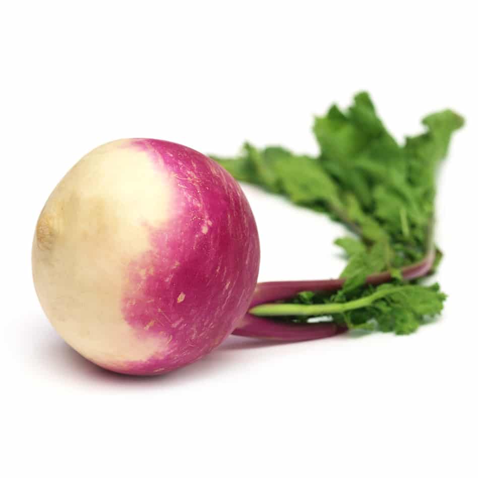 Turnip