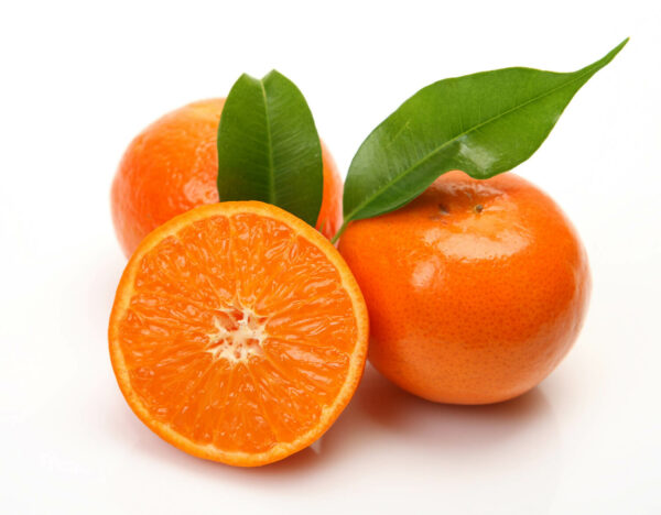 shutterstock_72222217