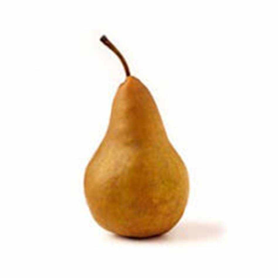 Beurre Bosc Pear