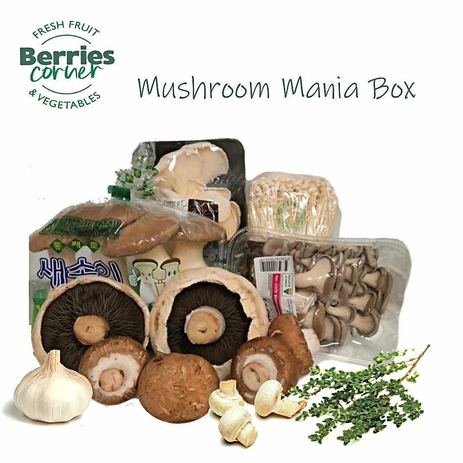 Berries Corner Mushroom Mania Box