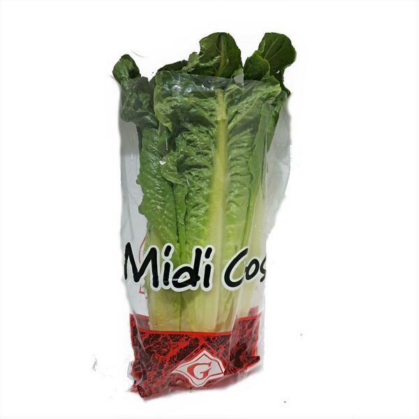 Lettuce - Midi Cos