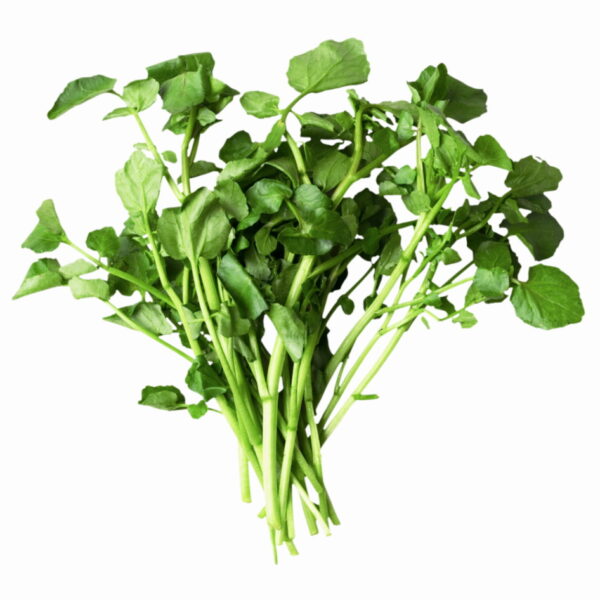 Watercress