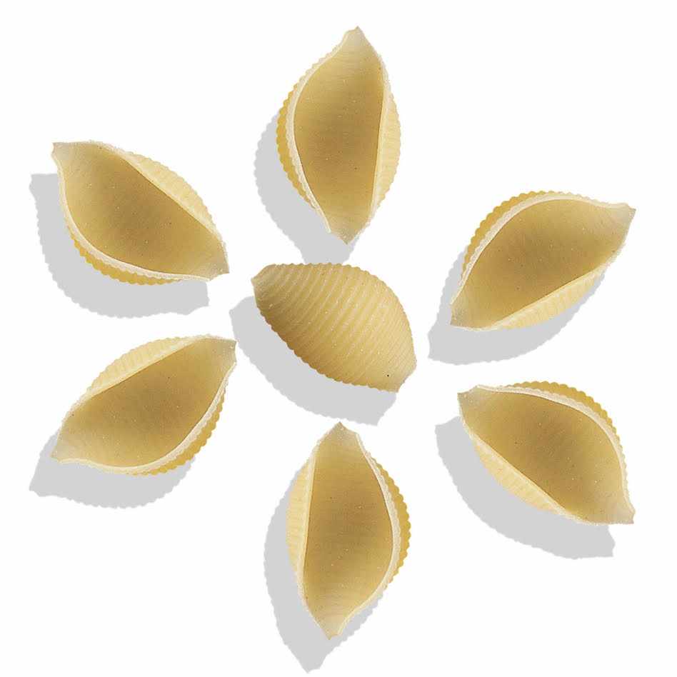 Delverde Conchiglie Rigate Pasta
