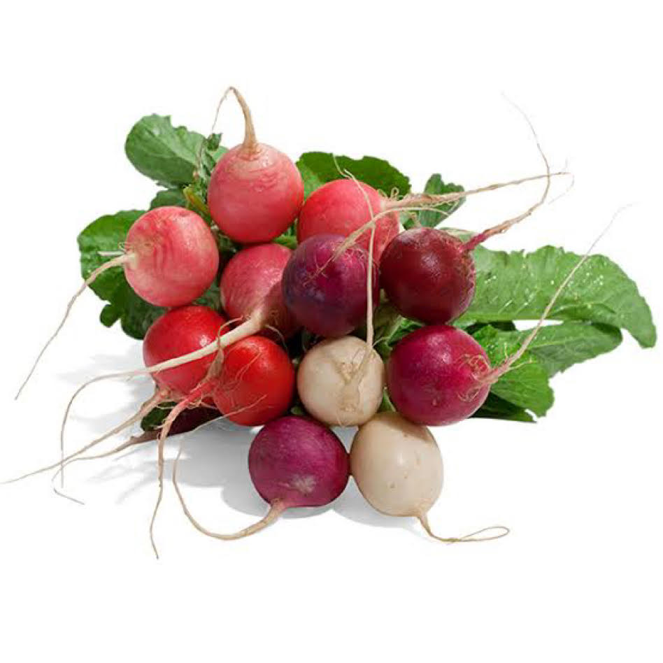 Rainbow Radish - Queen Victoria Market