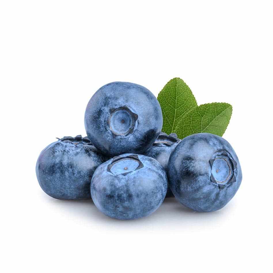 Driscoll Blueberries 170g