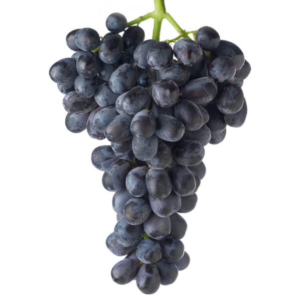 Grapes - Midnight Beauty