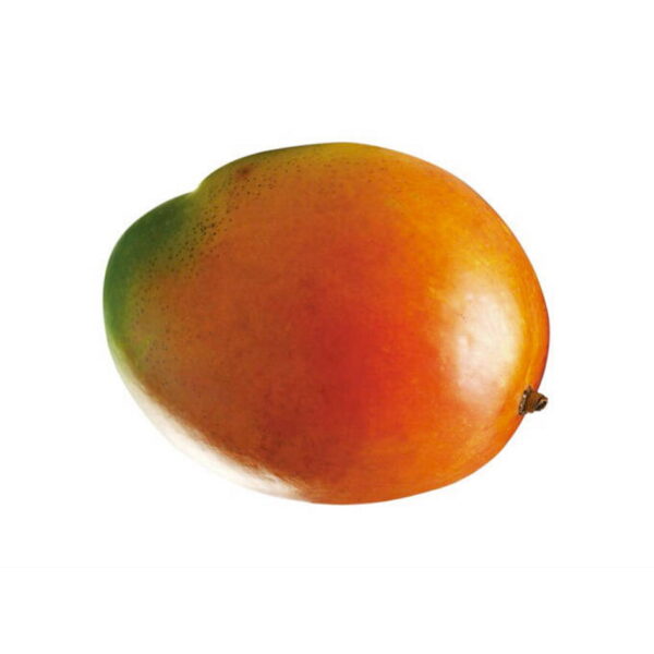 Mango - Keitt