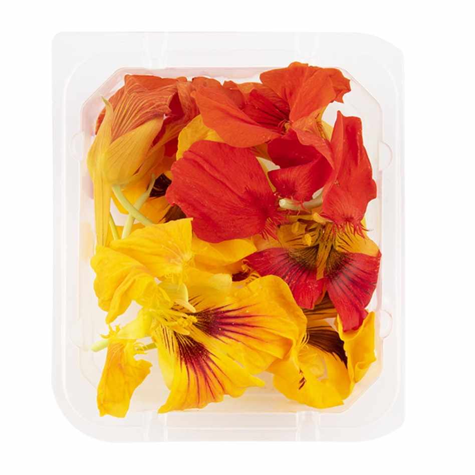 Amazon Empress Edible Flowers
