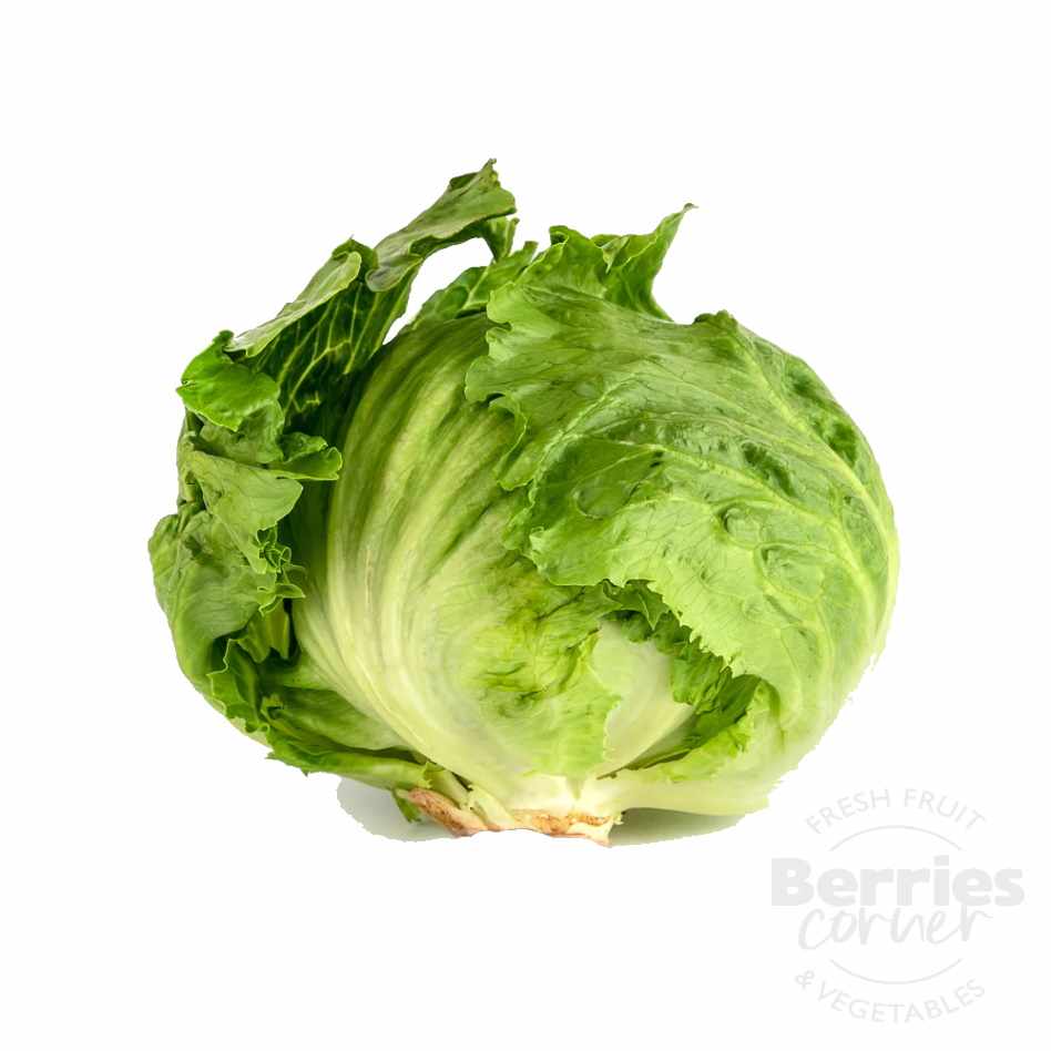 Iceberg Lettuce