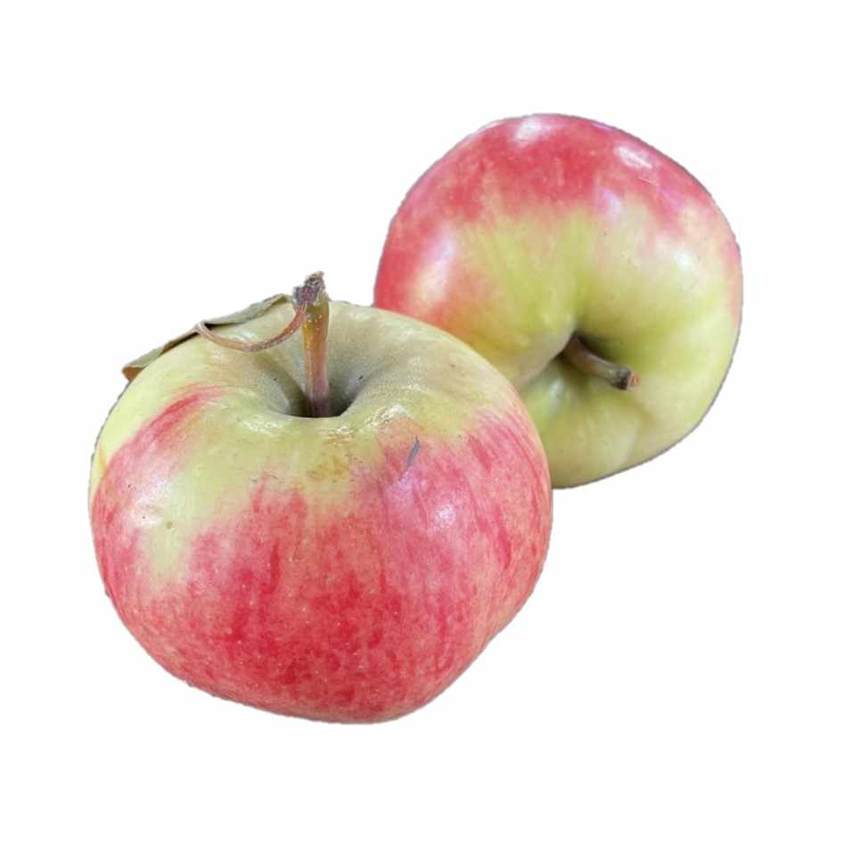 Elstar Apples (Certified Organic)