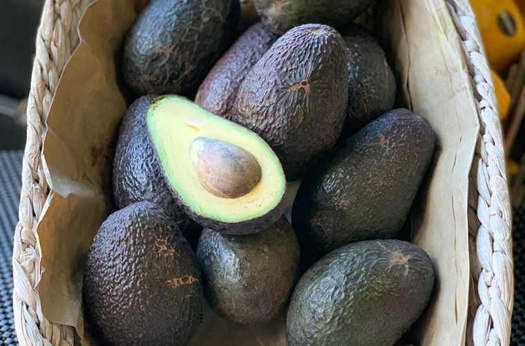 When to Make the Switch From a Hass vs Shepard Avocado