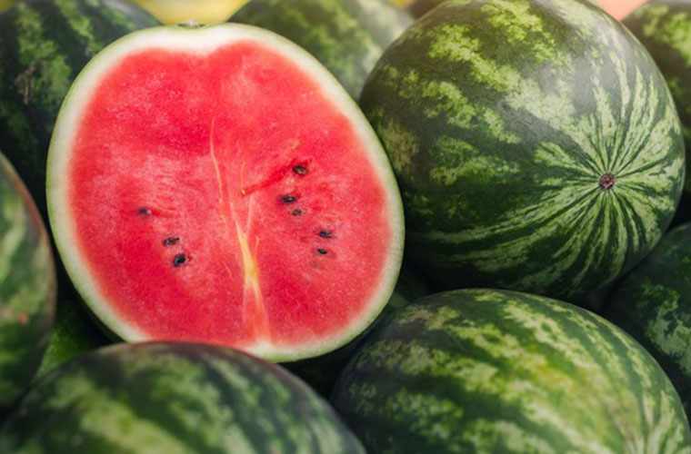Stop Guessing! How to Pick a Good Watermelon in the Fruit Sheds