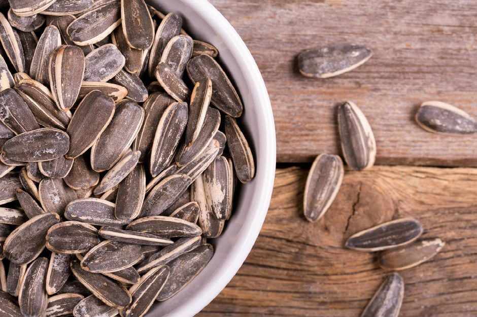 Roasted Salted Sunflower Seeds in shell