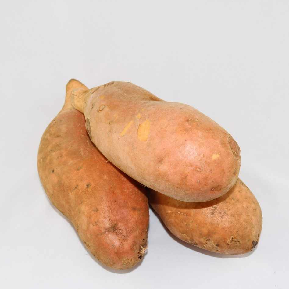 gold sweet potato