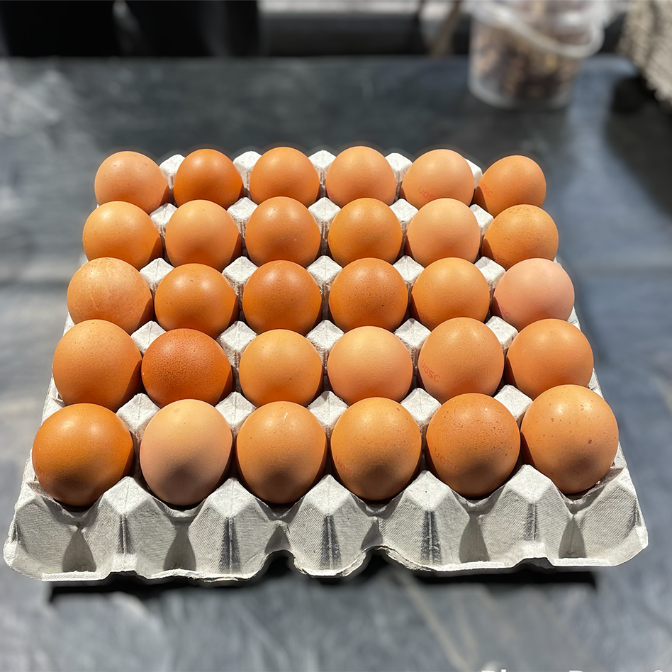 Caged Eggs (30 pack) - Queen Victoria Market