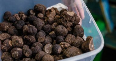 Ultimate Truffle Tour
