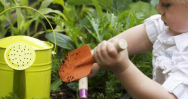Gardening 4 Kids!