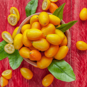 Kumquat