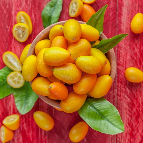 Kumquat