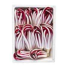 Trevisio Radicchio