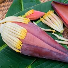 Banana Blossom