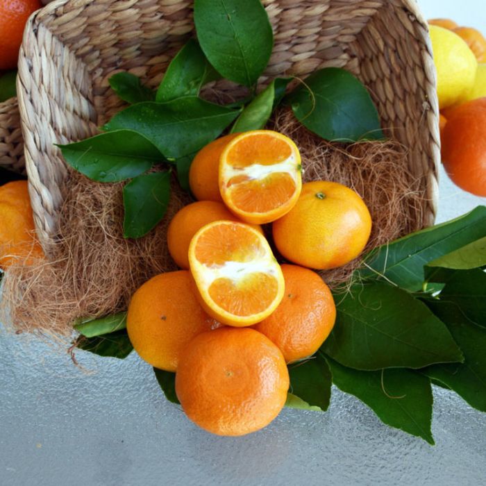 Honey Murcott Mandarin
