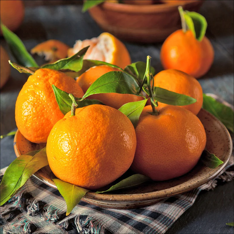 Satsuma Mandarin