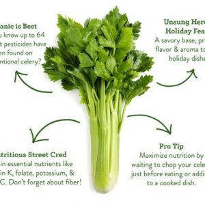Certified Organic Celery