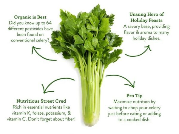 Certified Organic Celery