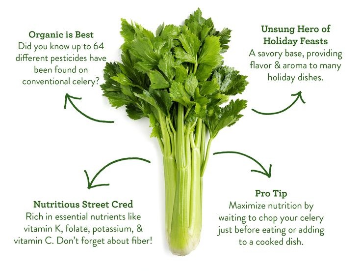 Certified Organic Celery