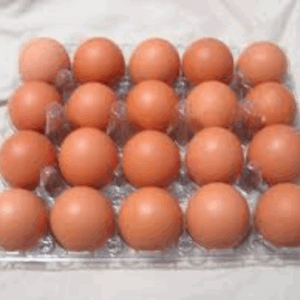 Caged Egg Trays