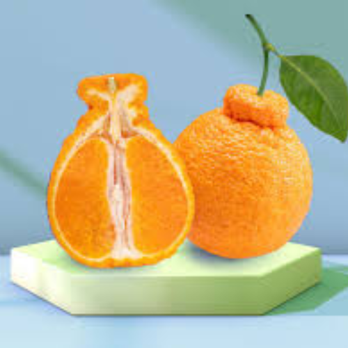 Dekopon Mandarin - Image 2