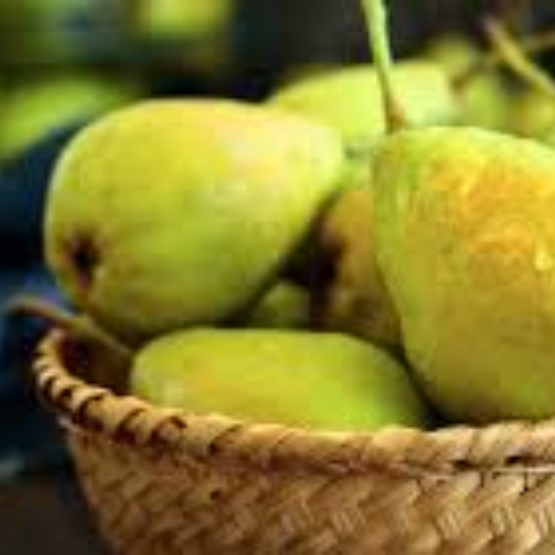 Honey Pear - Image 2