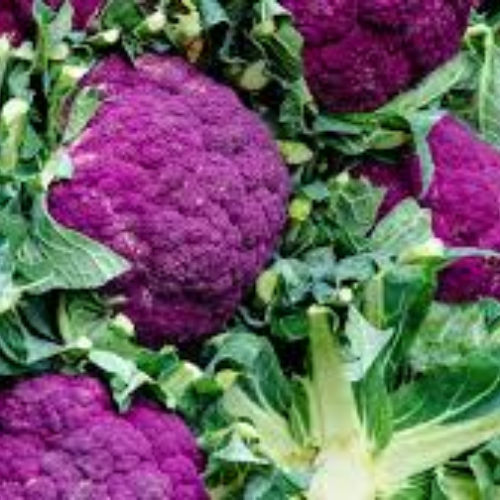Purple Cauliflower