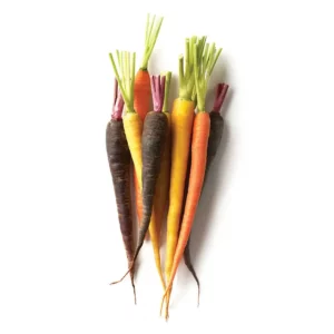 Heirloom Dutch Carrot Bunch
