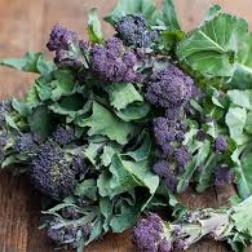 Purple Broccolini - Image 2