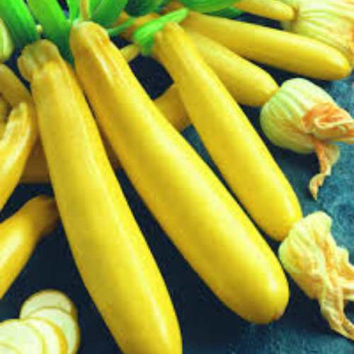 Yellow zucchini - Image 2