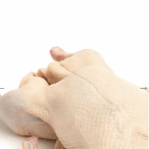 South Australian Small Farm Goose